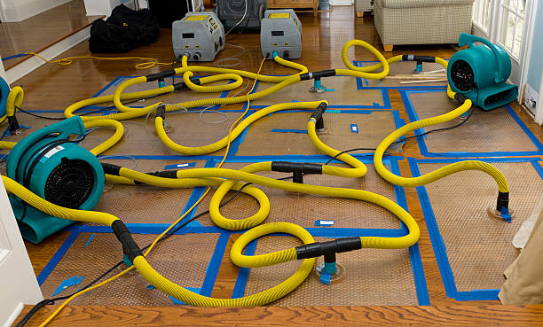 Professional Structural Drying And Dehumidification technician working in Minford, OH